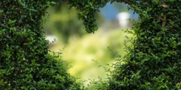 Ce faci dacă partenerul nu este romantic?