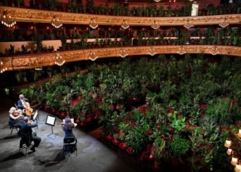 Concert inedit la Barcelona. Cum au fost înlocuiți oamenii cu plante