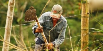 Producătorii din ariile protejate beneficiază de un brand dedicat