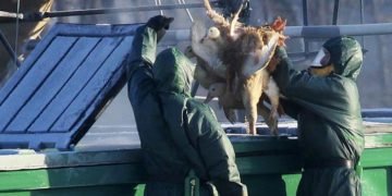 Coronavirusul nu a trecut, dar chinezii ”sunt gata” cu unul nou