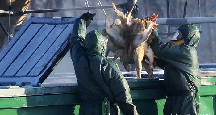 Coronavirusul nu a trecut, dar chinezii ”sunt gata” cu unul nou