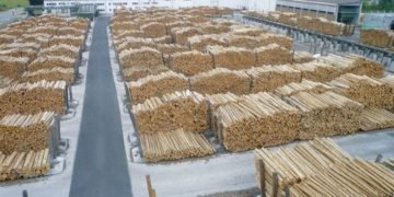 Costel Alexe propune încă o lege a pădurilor