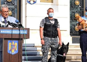Vela anunță cum va proteja animalele. Ce structură se va înființa în curând