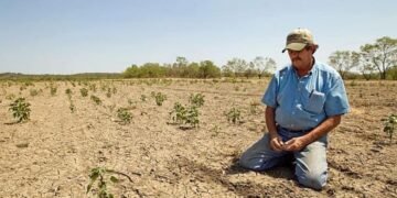 Agricultura este lovită crunt anul acesta