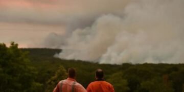 De ce au criticat reprezentanții Greenpeace România recent
