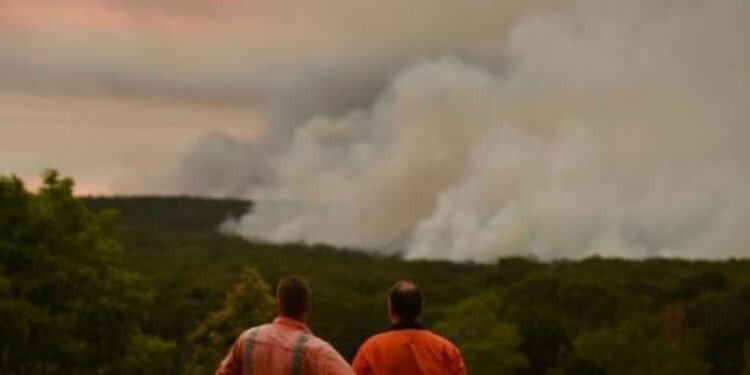 De ce au criticat reprezentanții Greenpeace România recent